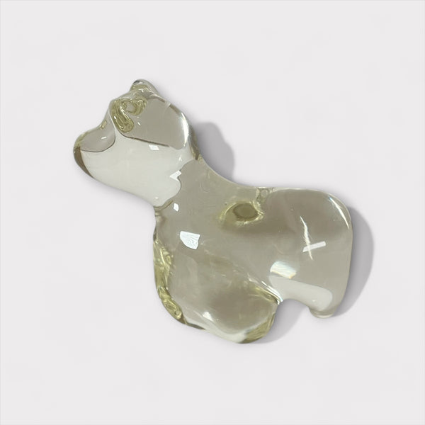 村山 耕二 / Solid Animal