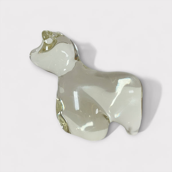 村山 耕二 / Solid Animal