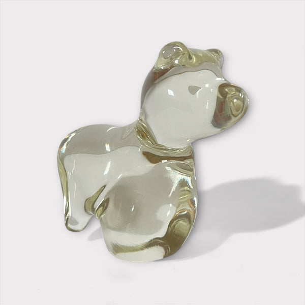 村山 耕二 / Solid Animal