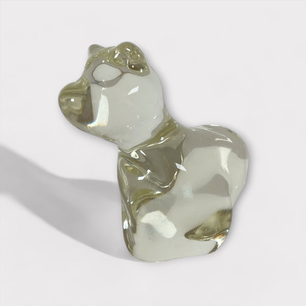 村山 耕二 / Solid Animal