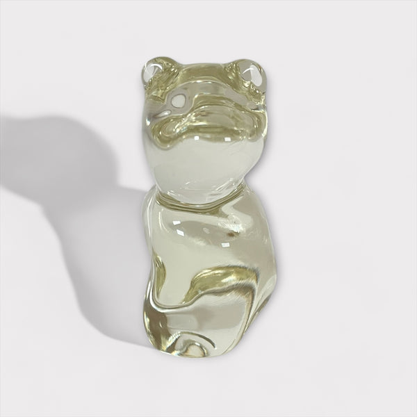 村山 耕二 / Solid Animal